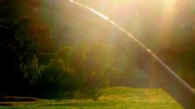 FREE TO FORGIVE (Meditation) by Carmen Warrington.wmv