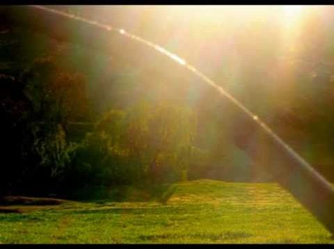 FREE TO FORGIVE (Meditation) by Carmen Warrington.wmv