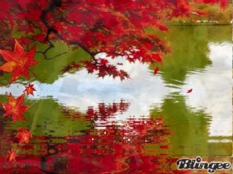 LETTING GO Meditation…by Carmen Warrington