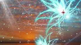 WHO AM I?  (Meditation)  By Carmen Warrington